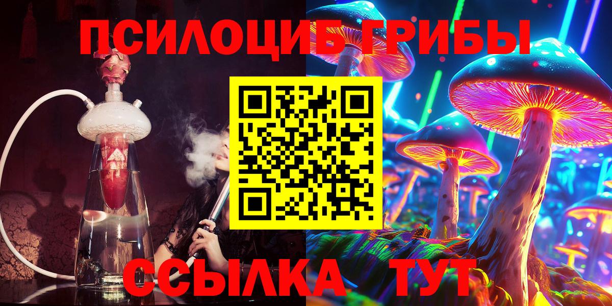 Псилоцибиновые грибы Psilocybine cubensis  Вход с VPN  Курчатов 
